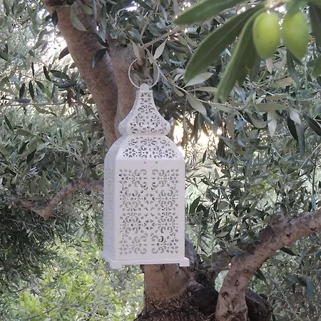 Apartment Kalliroe -creta